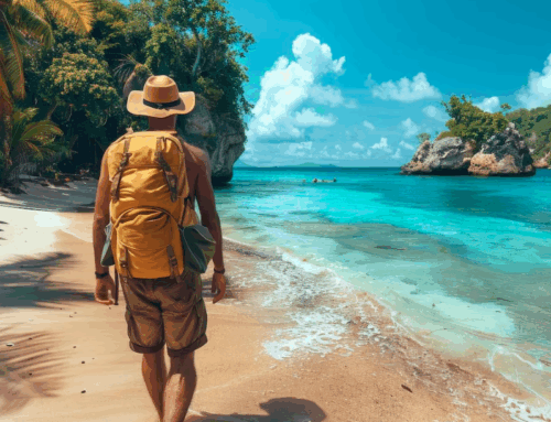 Safari and Beach Holiday Packages That Blend Comfort with Exploration