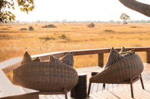 Wellness-Robyn-Schultz