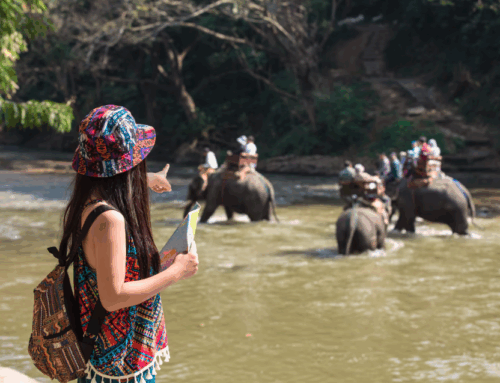 Comfort, Privacy, and Adventure: The Essence of Wilderness Safaris