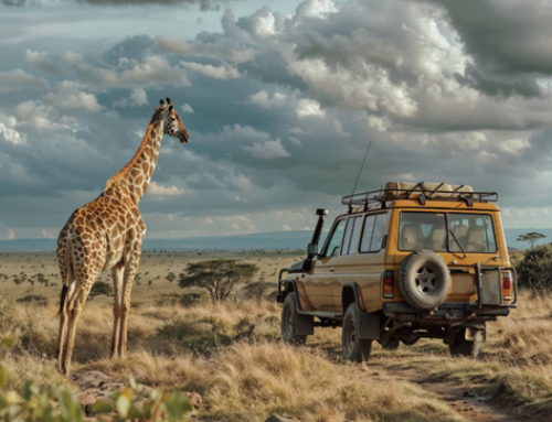 Why Are Private Luxury Safaris Perfect for Couples and Honeymoons?