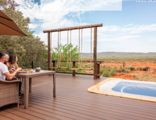 How Do Luxury Safari and Beach Holiday Packages Create the Perfect Balance Between Adventure and Relaxation?