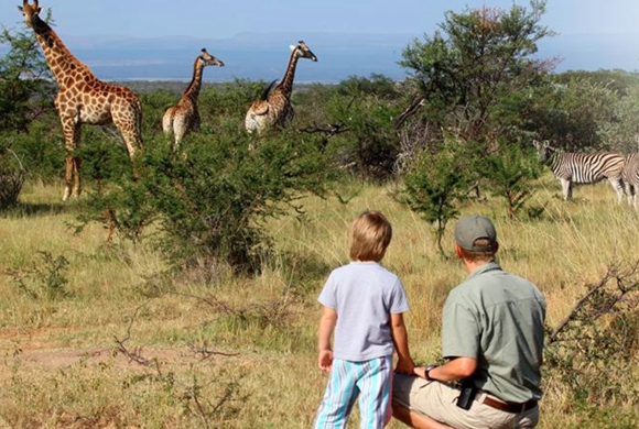 Luxury Safari Travel Agency