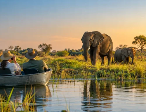 Botswana Safari for a Remarkable Okavango Escape