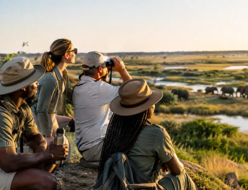 Corporate Safari Retreats That Build Stronger Teams