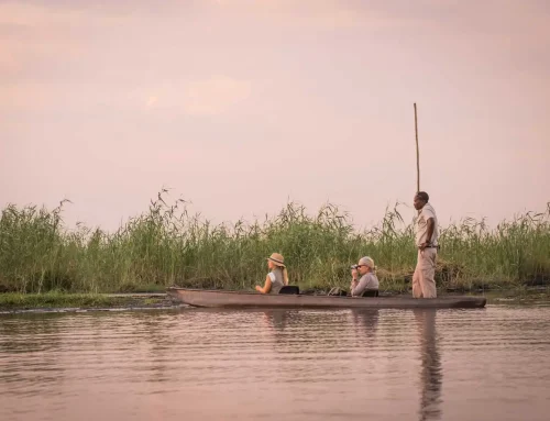 African Safari Travel Trends Shaping 2027