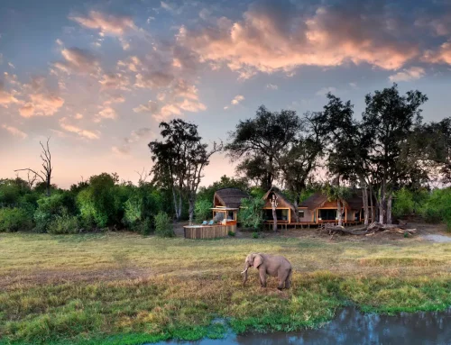 Family Safari Planning Guide for Botswana