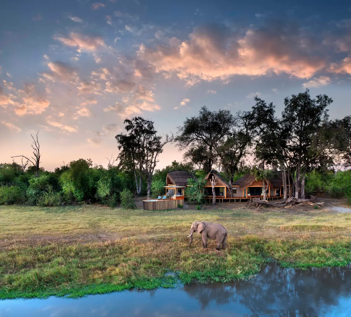 Family Safari Planning Guide for Botswana