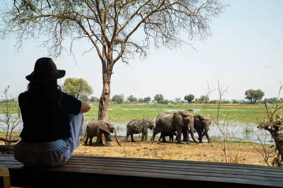 How to Choose Safari Lodges for Botswana