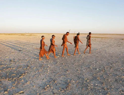 How to Enjoy Cultural Safaris With Respect