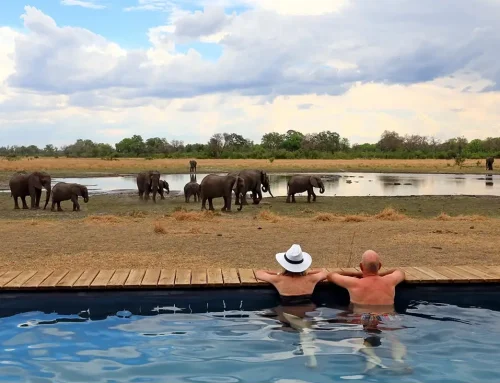 How to Plan a Luxury Safari Across Botswana