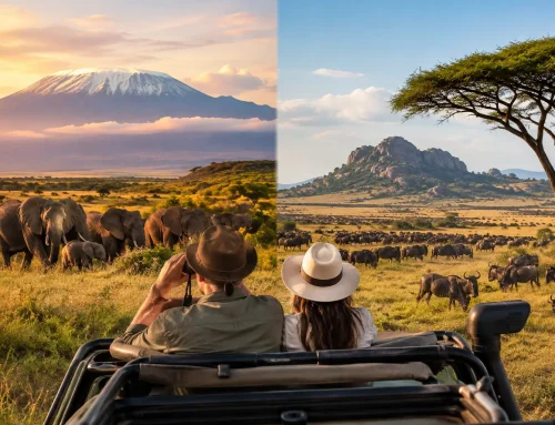 Kenya versus Tanzania: Which Safari Is Right?
