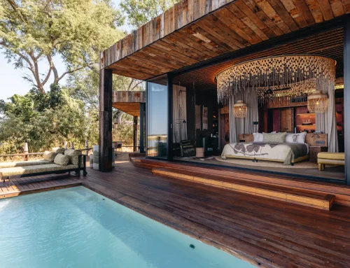 Mobile Camps Versus Lodges: Which Safari Fits?