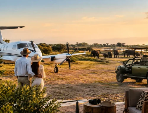 Private Air Charter Guide for African Safaris