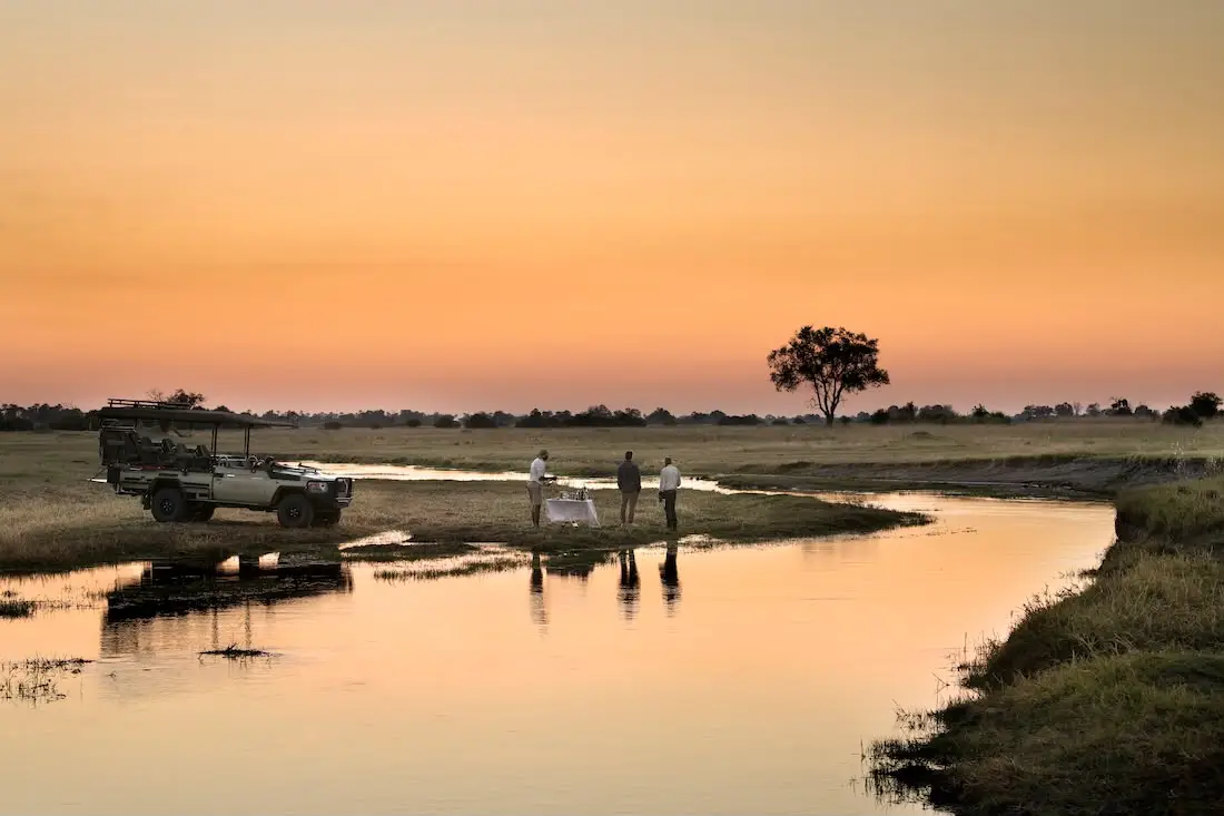 Private Safari Comparison for a Better Journey