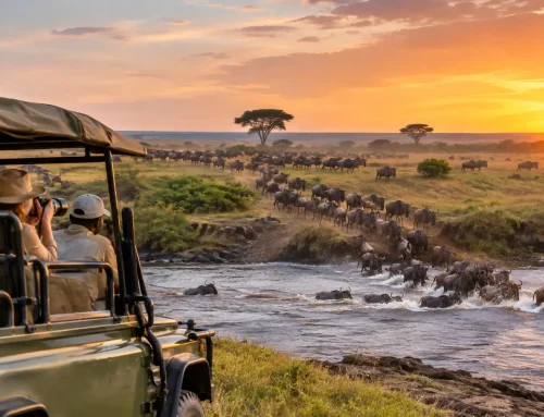 Serengeti Safaris Designed Around the Migration