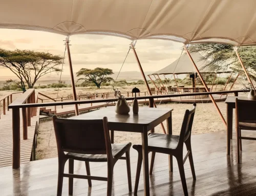 Tanzania Luxury Camp Reviews That Matter