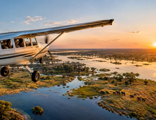 What Is a Fly in Safari? Botswana Air Transfers