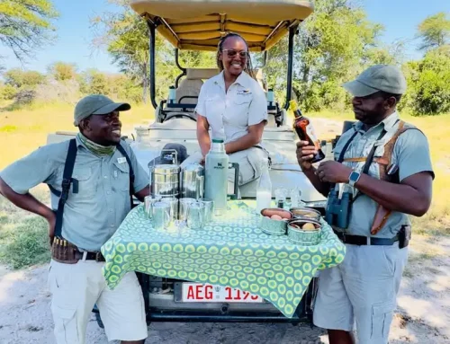 Why a Botswana DMC Changes Your Safari Experience